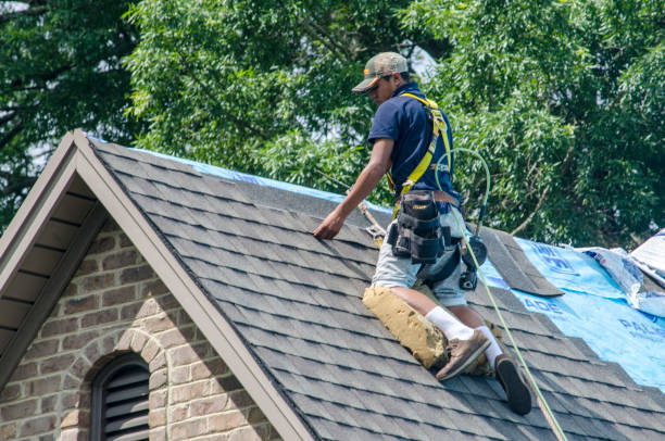 Best Local Roofing Companies  in Effingham, IL